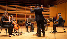 Gamper: Shapes in Sound