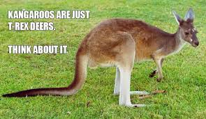 Kangaroos Are Just T Rex Deers Think About It Funny Joke Animal Laugh Funny Funny Animals
