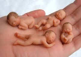 The Most Amazing Miniatures I Have Ever Seen Shop With Me Mama Baby Dolls Baby Mold Miniature Dolls