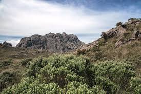 Located at the mantiqueira mountain range, the itatiaia national park includes part. Itatiaia National Park Brazil Photograph By Klaus Balzano