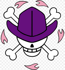 One piece ace 33813 gifs. Nico Robin Monkey D Luffy Roronoa Zoro Jolly Roger One Piece Png 800x884px Watercolor Cartoon Flower