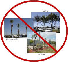 Tree Maintenance Requirements