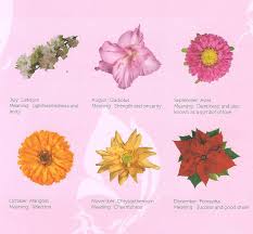 Check spelling or type a new query. July Birth Flower Tattoo Ideas Wiki Tattoo