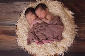 How To Encapsulate Twin Placentas Carolina Birth And Wellness Blog