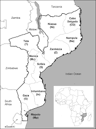 Image result for Eriolaena rulkensii