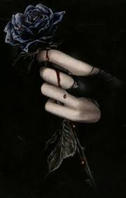 أحدث وأجمل خلفيات hd للهاتف خلفيات روووعة بمناسبة رأس السنة trendy wallpaper black rose flower black rose