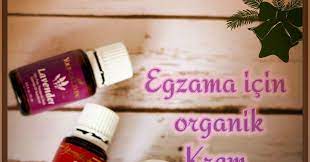 bitkisel urunler ev yapimi kurdesen urtiker egzama kremi eczema diy hives attack itchy kasintili atak ciltte kiza dogal saglik saglikli yasam urunler