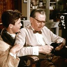 The immenhof films were a series of german heimatfilme (homeland films) that appeared in cinemas between 1955 and 1974. Hochzeit Auf Immenhof Film 1956 Trailer Kritik Kino De