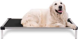 The 7 Best Indestructible Dog Beds 2021 Reviews Petlisted