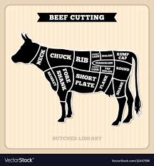 Beef Cow Cuts Butcher Diagram