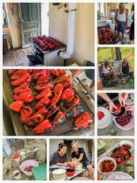 Ajvar kannst du super zu fleisch essen. Original Ajvar Rezept Mit 4 Zutaten Unser Traditionelles Familienrezept Kochtrotz Lieblingsrezepte Fur Dich Mit Tausch Zutaten