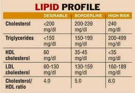 lipid profile normal levels tufing com