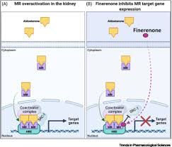 Image result for Finerenone