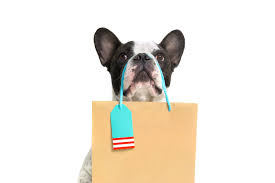 We did not find results for: Why Love My Puppy Is The Best Puppy Store Near 33432 Love My Puppy Boca Raton