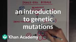 A mutation of this sort changes all the amino acids downstream and is very likely to create a nonfunctional product since it may differ greatly from the normal protein. An Introduction To Genetic Mutations Video Khan Academy