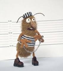 буба буба буба буба буба буба буба буба буба буба Tarakan Buba Needle Felting Projects Needle Felted Animals Felting Projects
