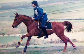 Rider Who Lost Horse To Cushing S Diagnosed With The Same Condition Horse Hound
