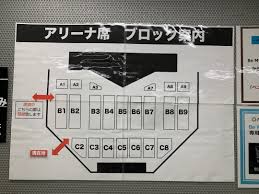 岩ちゃんARTLESS日本武道館 ※アリーナ座席 | Your Smile️‍