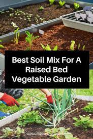 Best Soil Mix Recipe For A Raised Bed Vegetable Garden Vegetable Garden Raised Beds Garden Soil Soil For Vegetable Garden