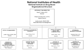 fiscal year 2019 budget information congressional