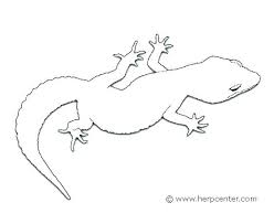The food will also draw out the crickets and make them easier to catch. Cute Leopard Gecko Coloring Page