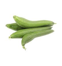 Sponge Gourd (Galka)