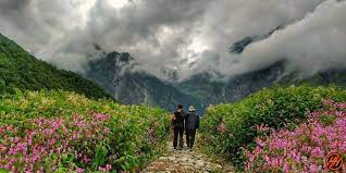 Maybe you would like to learn more about one of these? Valley Of Flowers Trek 2021 Trek Best Colorful Heaven Himalayan Hikers