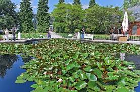 Botanischer volkspark pankow 83 km. Quermania Palmengarten Im Westend Frankfurt Am Main Hessen Sehenswurdigkeiten Urlaub Und Ausflugsziele In Deutschland