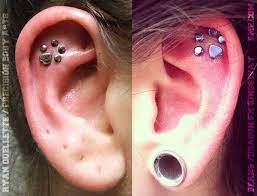 Ear Piercings Bme Tattoo Piercing And Body Modification News Cool Piercings Ear Piercings Piercings Unique