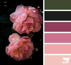 Color Garden Design Seeds Seeds Color Seeds Color Palette