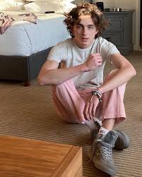 All you need to know about timothée chalamet | playlist updates every week!!! Timothee Chalamet And Billie Eilish Are This Year S Met Gala Co Chairs