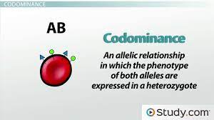 One allele is not codominance is a form of inheritance wherein the alleles of a gene pair in a heterozygote are fully expressed. Exceptions To Simple Dominance Codominance And Incomplete Dominance Video Lesson Transcript Study Com