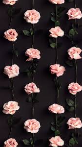 Https All Images Net Wallpaper Iphone Pinterest Best Off 234 Wallpaper Ipho Flowers Photography Wallpaper Flower Background Wallpaper Flower Phone Wallpaper