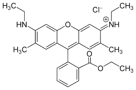 Rhodamine 6g Wikipedia