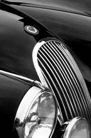 Joe L Jrotab59 - Profile Pinterest