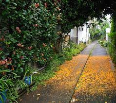 暗渠(あんきょ)とは ⇒地下に埋設された川や水路 暗渠と城跡 ⇒暗渠に気付くアンテナがあると、街の中の城跡巡りが一層楽しくなる。天然の堀だった川のなごりを感じることは、城のなごりを感じるのと同じ。 ある意味ワンパターン。 æ°´ã®ãªã„æ°´è¾ºã‹ã‚‰ æš—æ¸  ã®æ„‰ã—ã¿æ–¹ç¬¬1å›ž æš—æ¸ ã¸ã®èª˜ã„ ãƒŸã‚ºãƒ™ãƒªãƒ³ã‚°
