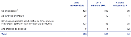 Cine va putea cumula pensia cu salariul de la stat. Conturile Anuale Ale Bce 2019