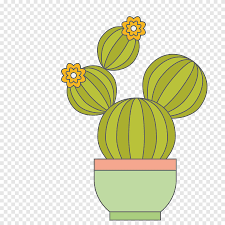 Si no te atreves a decorar tu office o la mesa del comedor con una planta grande y con largas hojas, opta por un mini cactus. Dibujos Animados De Cactaceae Cactus De Dibujos Animados Personaje Animado Botanica Png Pngegg