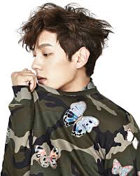 Maybe you would like to learn more about one of these? Download Hd Korean Boy Png Kwak Si Yang Transparent Png Image Nicepng Com