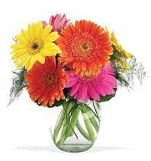 Rantin Ravin 40 Uses For Baking Soda Gerbera Daisy Gerbera Baking Soda Uses