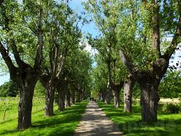 Bot Garten Schlosspark Hohenheim Albtips De Schwabische Alb