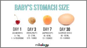 11 Breastfeeding Infographics You Should See Milkology