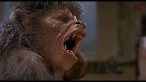 Image result for IMAGES OF MASSIVE NUMBERS OF WEREWOLVES
