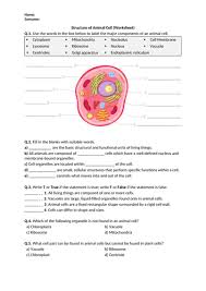 Can you label the structures of an animal cell. Structure Of Animal Cell Worksheet Teaching Resources