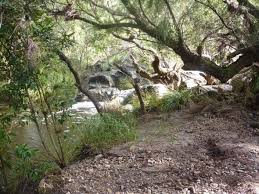Murphy S Creek Escape Family Friendly Camping Near Brisbane Brisbane Kids Brisbane Kids Family Adventure Places To Go