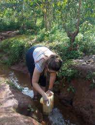 International Studies Curriculum