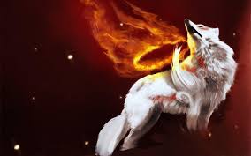 Looking for the best wallpapers? Anime White Wolf Wallpapers Wallpaper Cave