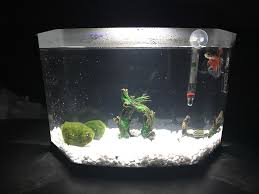 Next to choosing your pet fish, the most exciting part of starting an aquarium is shopping for your tank. Worried The Bettaflo Filter Is Too Strong For My New Koi He Can Swim Away From It But At Times It Seems To Take A Bit Of Effort I M Just Looking To