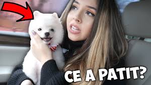 Ahead, we will also know about cezara cristescu dating, affairs, marriage, birthday, body measurements, wiki, facts, and much more. Ce A PÄÈit Honey