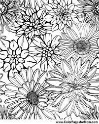 Pin On Coloring Pages For Grown Ups
